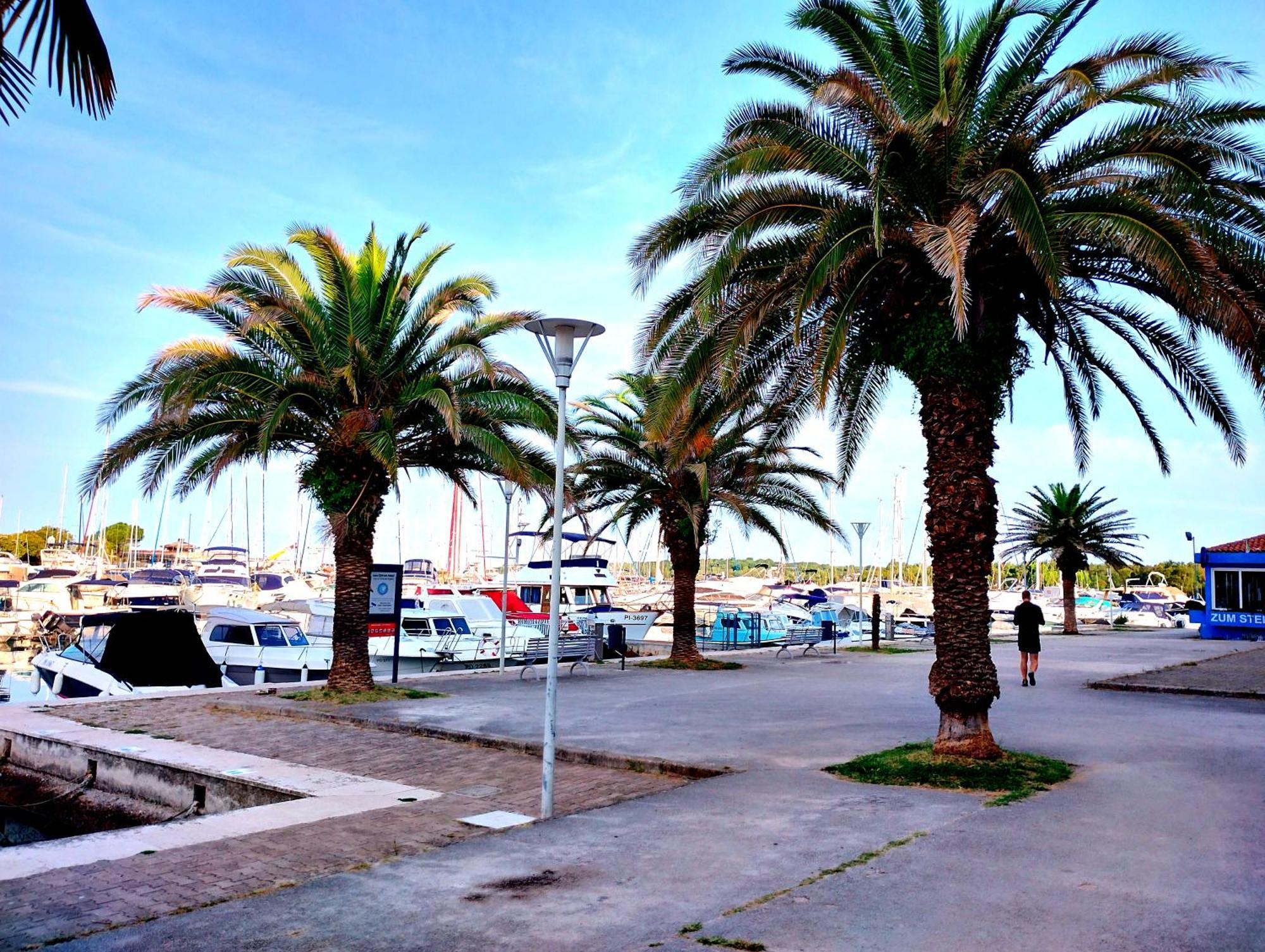 Premium Apartment Eden Poreč Eksteriør billede
